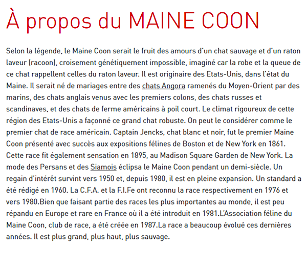 chat-maine-coon-texte_1.png