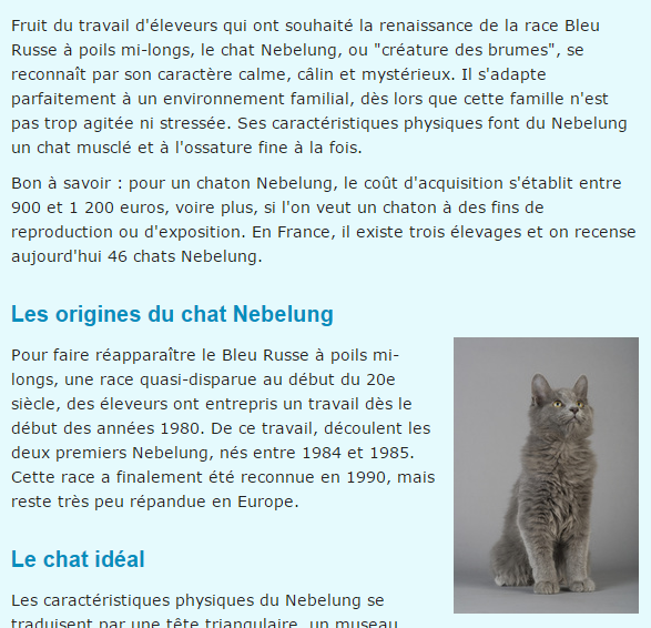 chat-nebelung-texte.png