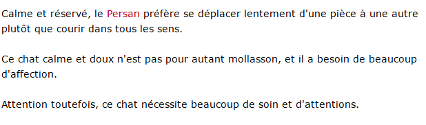 chat-persan-texte.png