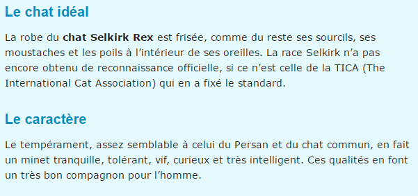 chat-selkirk-texte.png