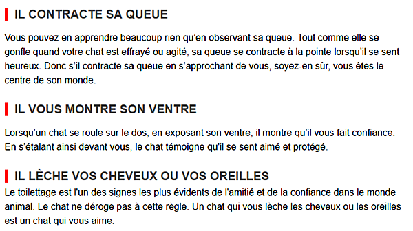 chat-signe2.png