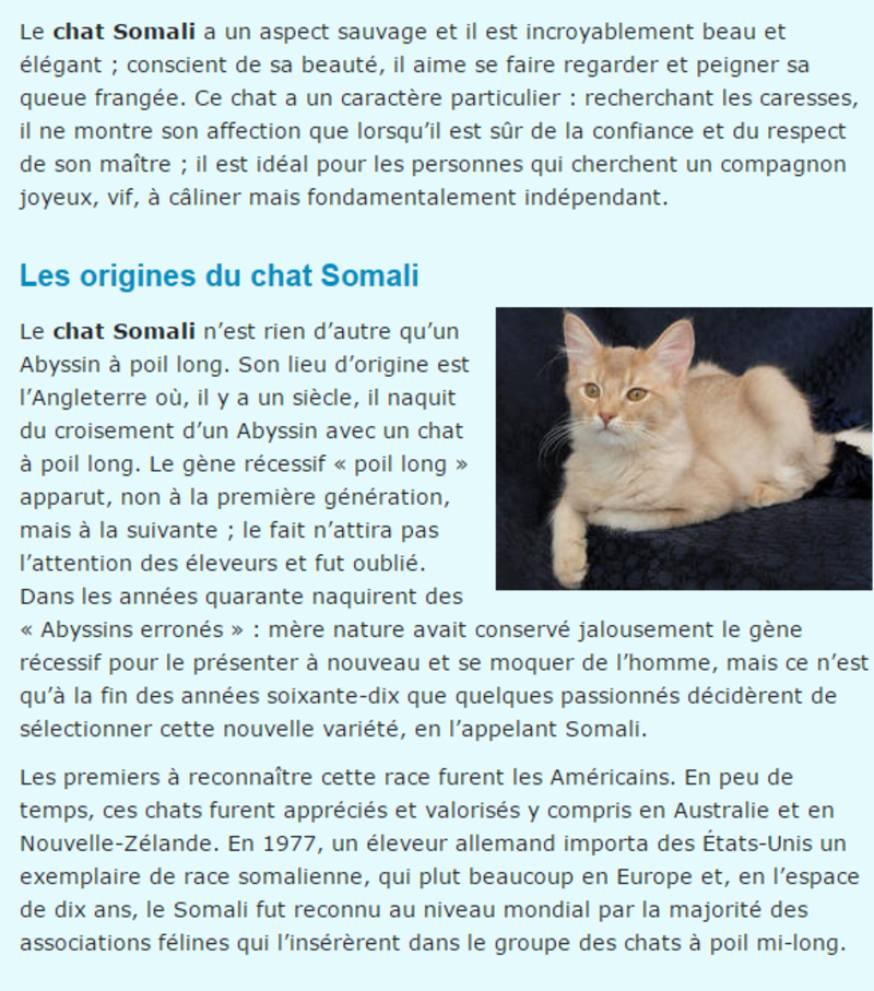chat-somali-note-texte.png