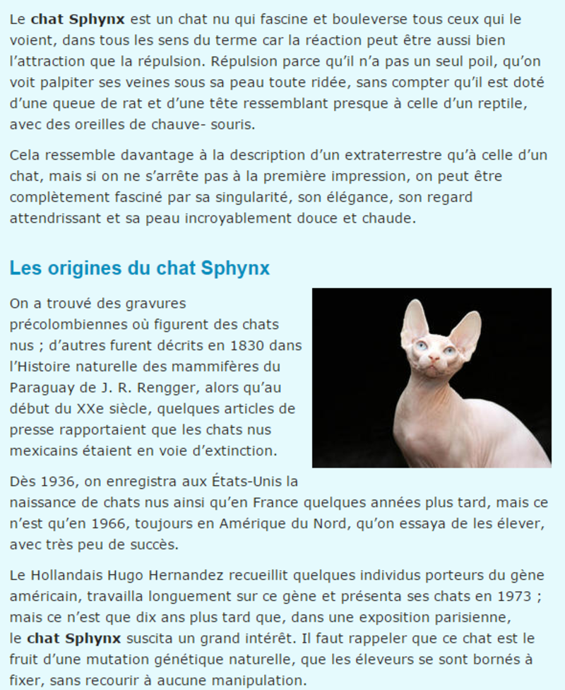 chat-sphynx-texte.png