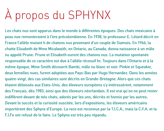 chat-sphynx-texte_1.png