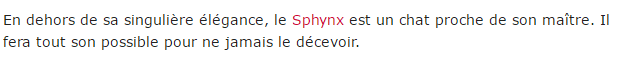 chat-sphynx-texte_2.png