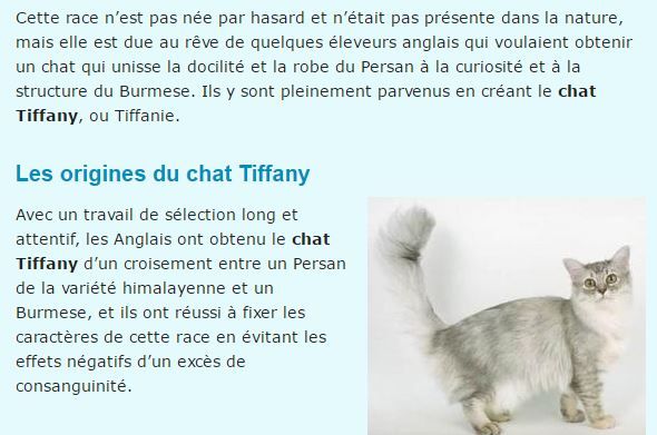 chat-tiffany-texte2.jpg