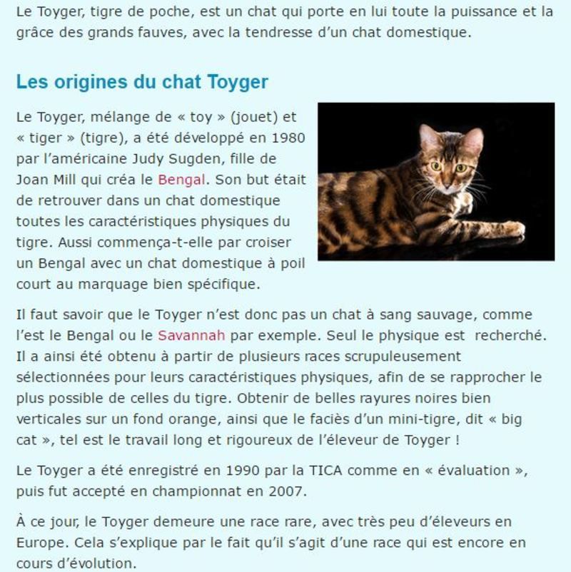 chat-toyger-texte1.jpg