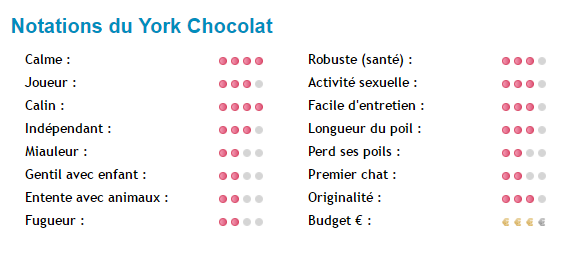 chat-york-chocolat-note.png