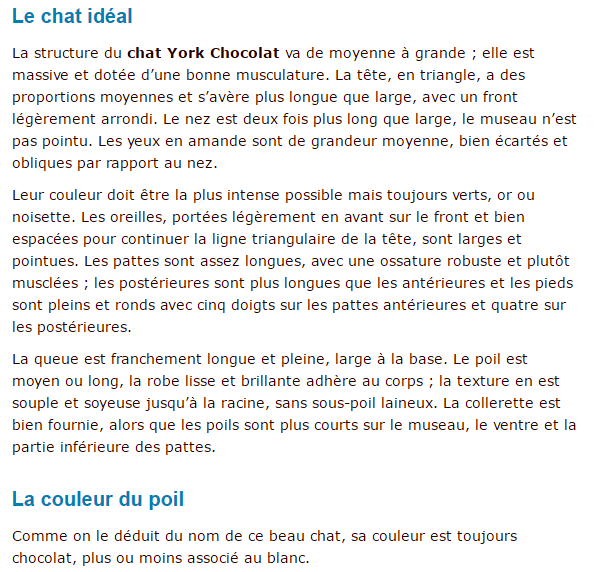 chat-york-chocolat-texte3.png