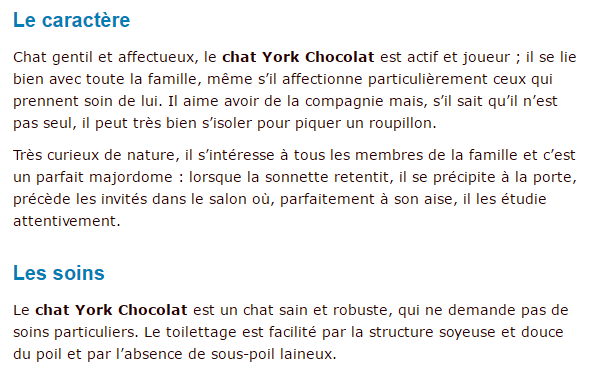 chat-york-chocolat-texte4.png