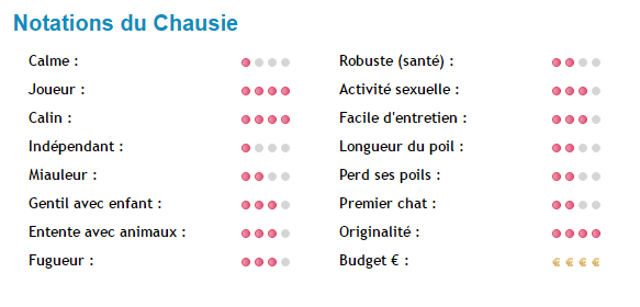 chausie-note.png