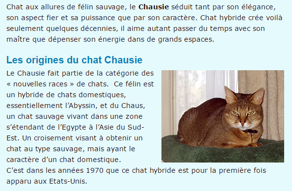 chausie-texte1.png