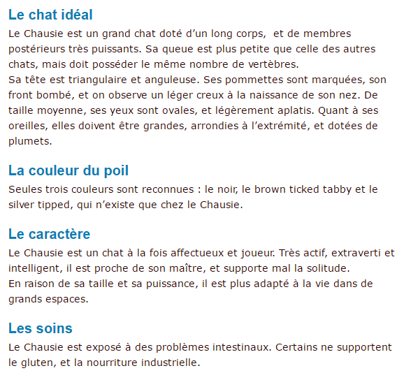 chausie-texte2.png
