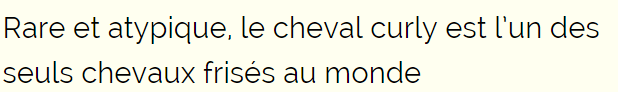 cheval-frise-titre.png