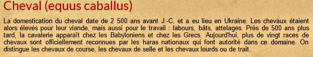 cheval-texte.png