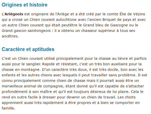 chien-ariegeois-texte1.png
