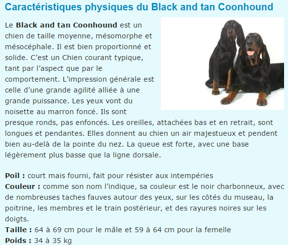 chien-black-and-tan-texte.png