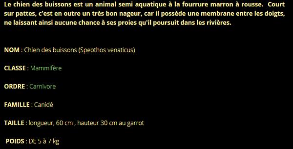 chien-buisson-texte1.png