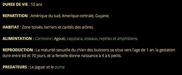 chien-buisson-texte2.png