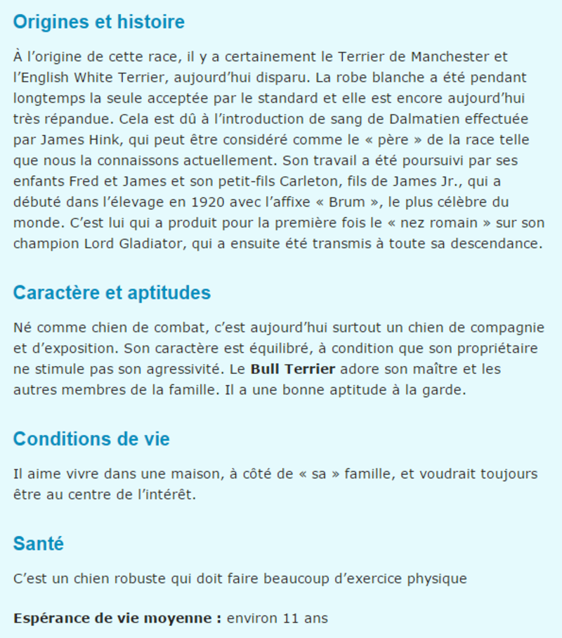 chien-bull-terrier-texte2.png