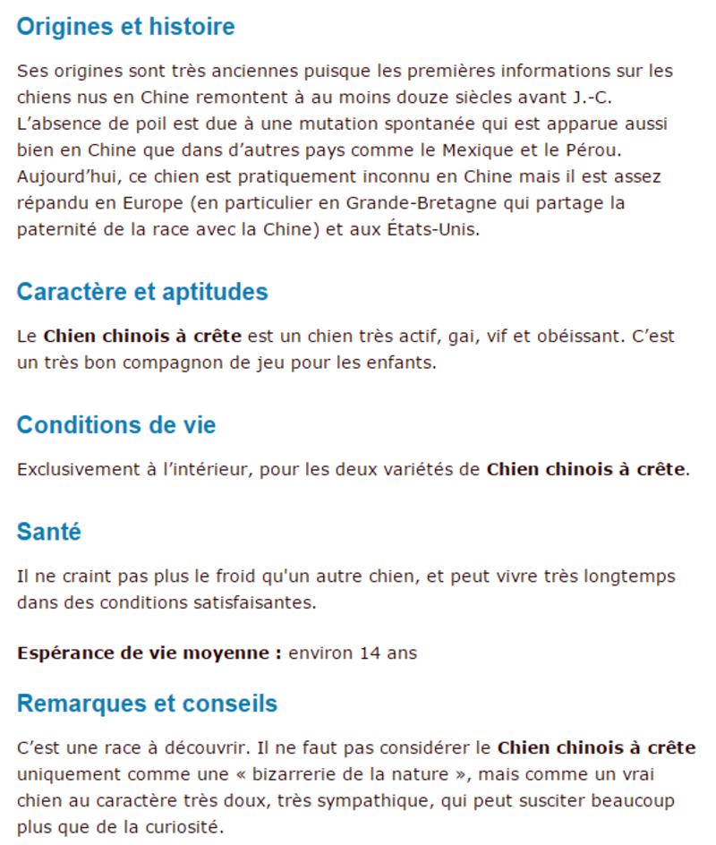 chien-chinois-texte.png