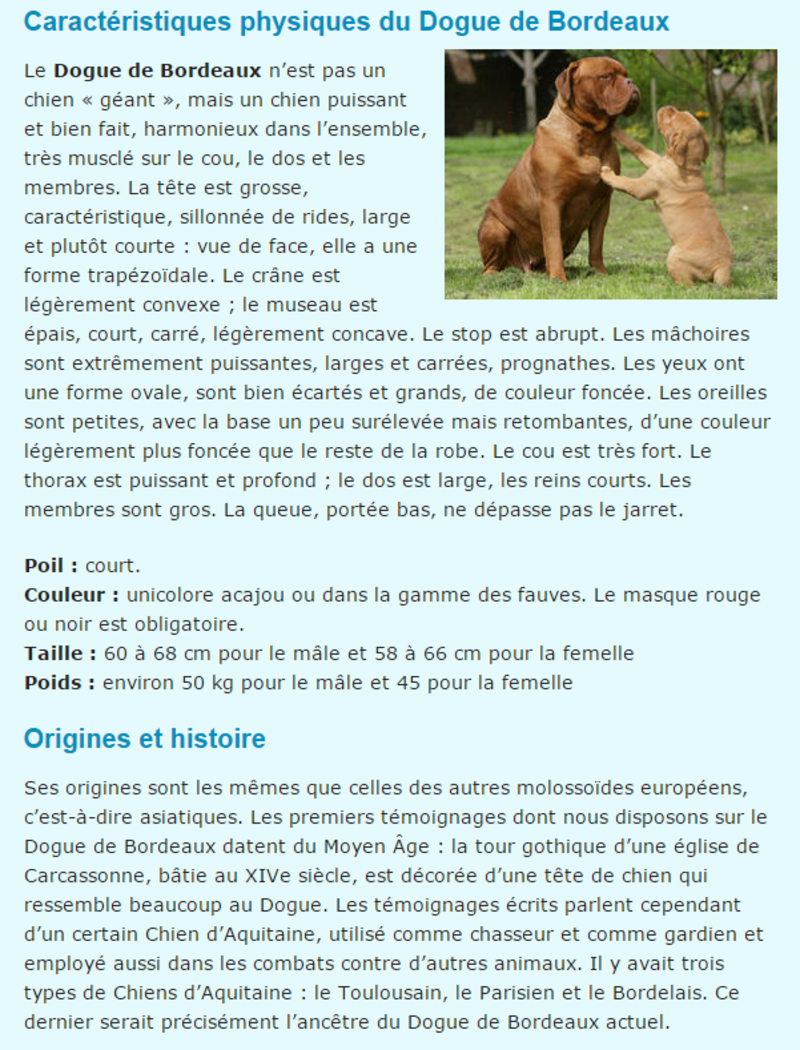 chien-dogue-de-bordeaux-texte1.png