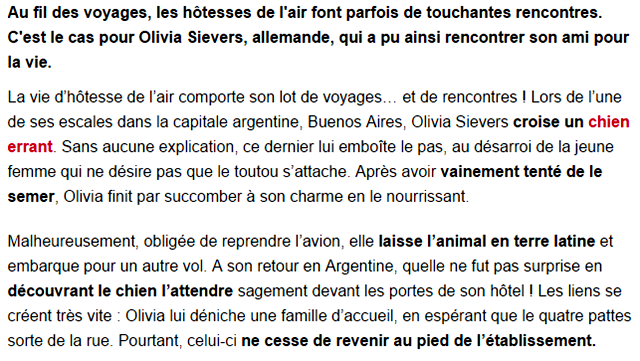 chien-hotesse-texte1.png