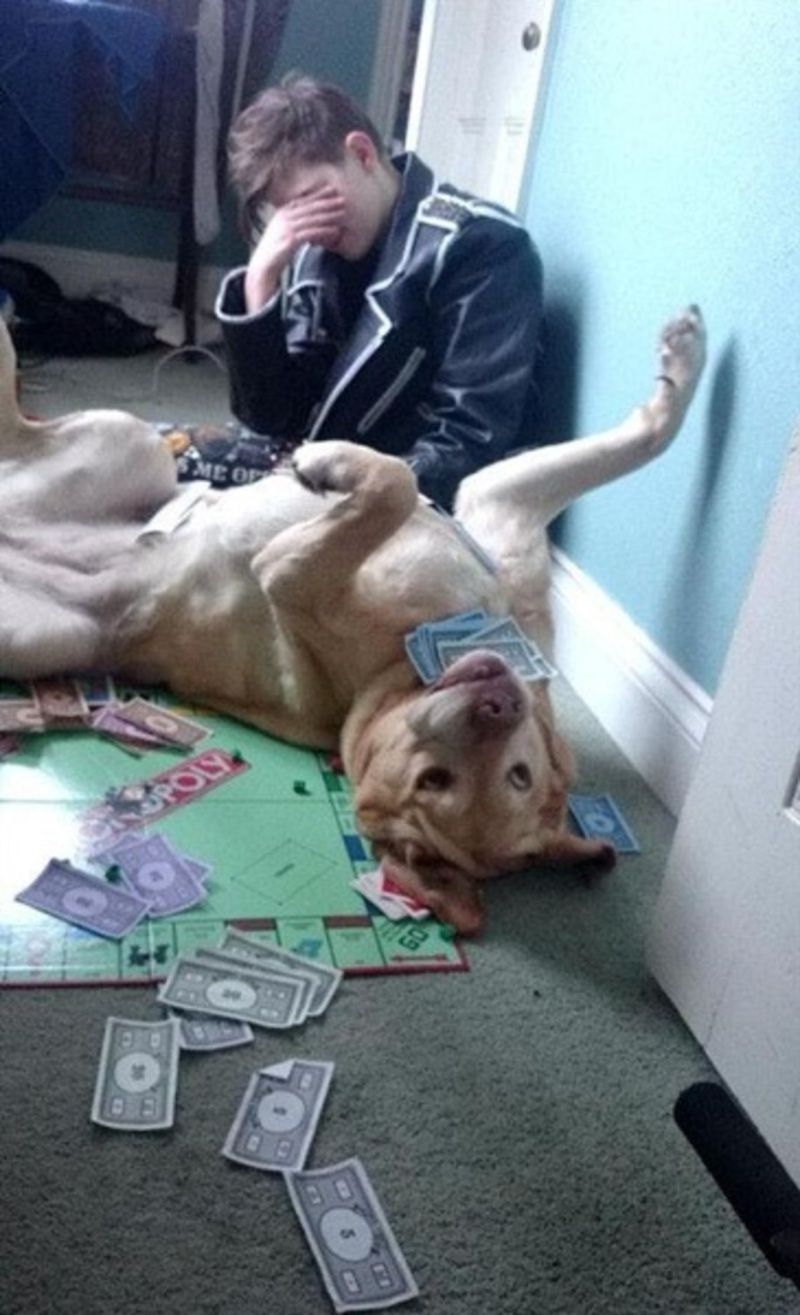 chien-monopoly.jpg