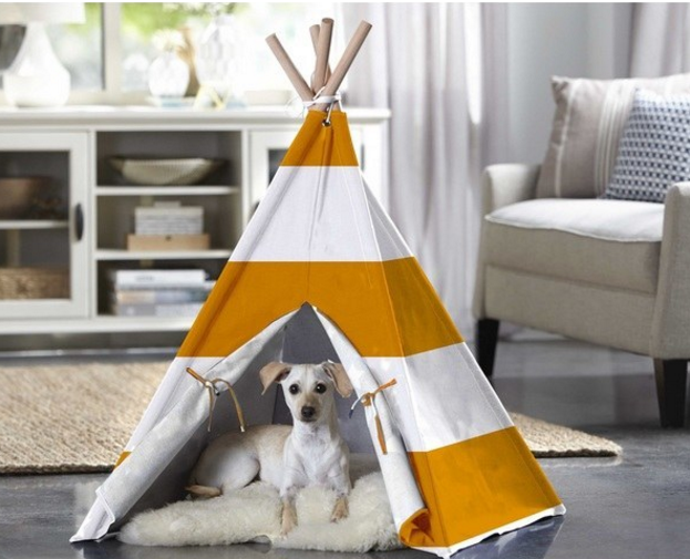 chien-tipi.png