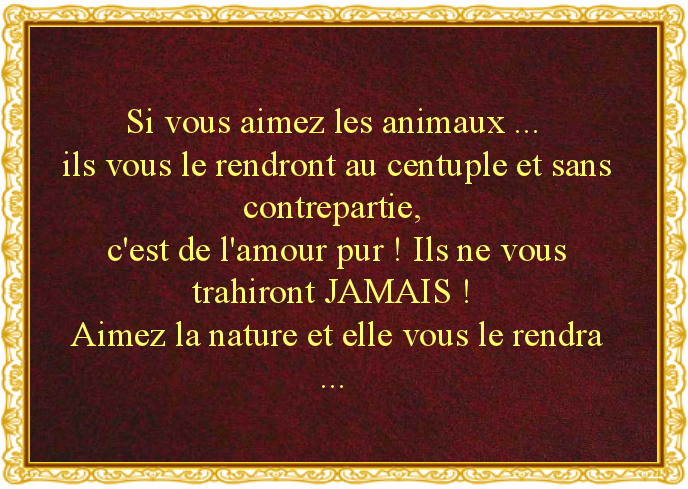 citation-aimer-les-animaux.png