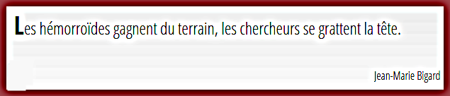 citation-bigard.png