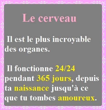 citation-cerveau-amour.jpg