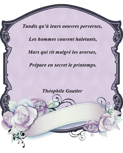 citation-theophile-gautier.png