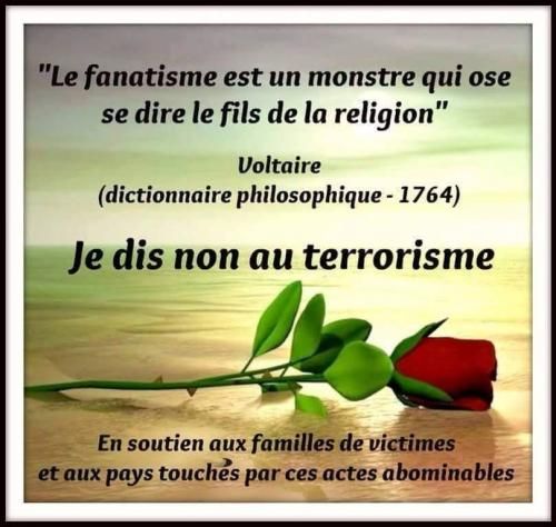 citation-voltaire.jpg