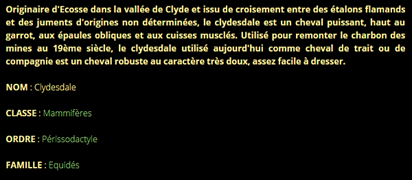 clydesdale-texte1.png