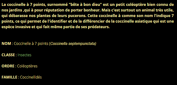 coccinelle-texte1_2.png