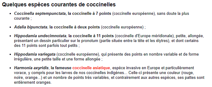coccinelle9.png