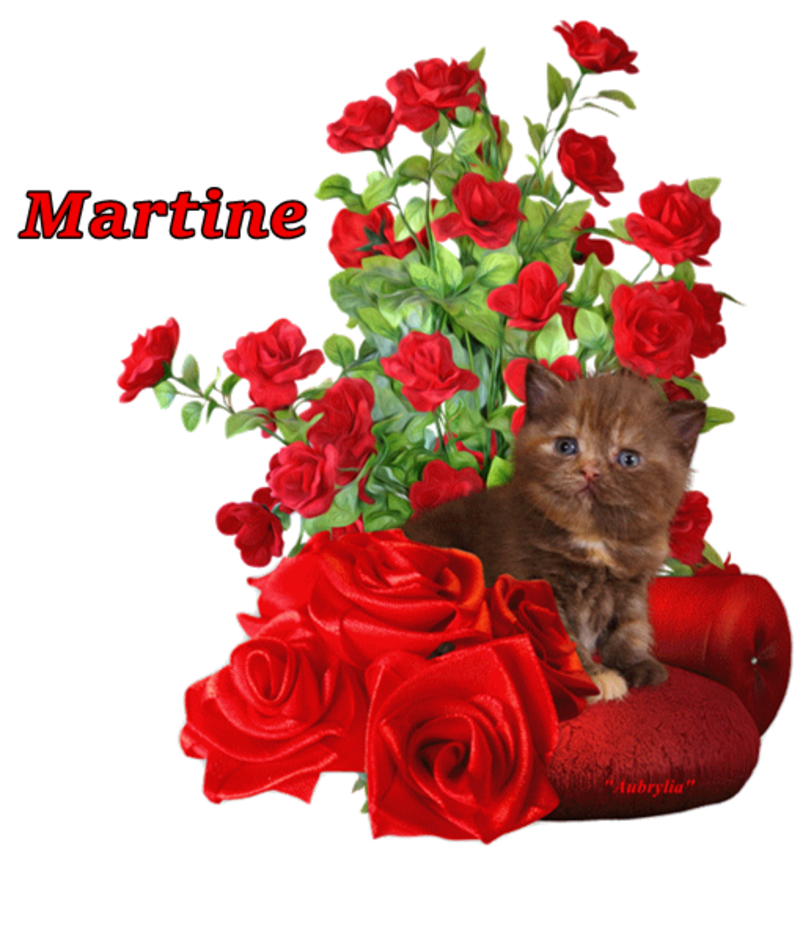commande-chat-Martine.png