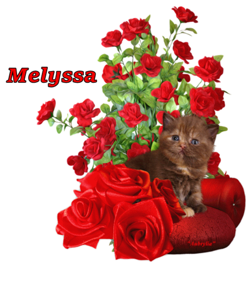 commande-chat-Melyssa.png