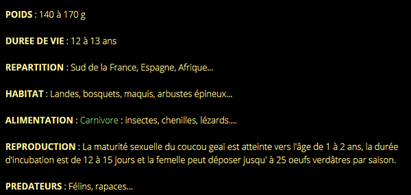 coucou-texte2_1.png