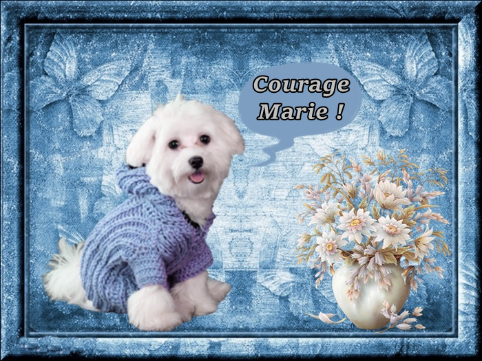 courage-marie.png