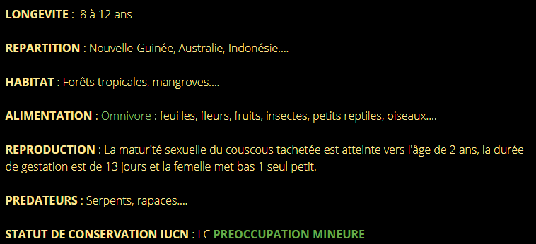 couscous-texte2.png