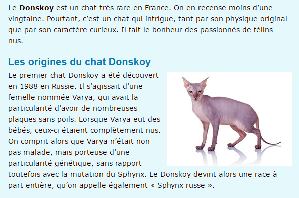 donskoy-texte1.png