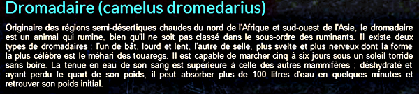 dromadaire-texte_1.png