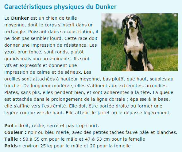 dunker-texte1_1.png