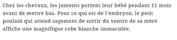 echo-cheval-texte.png