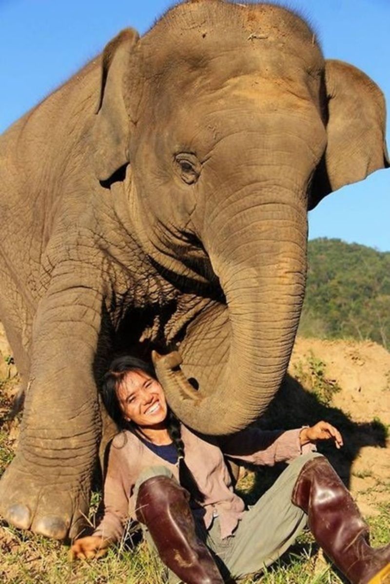 elephant-et-femme.jpg