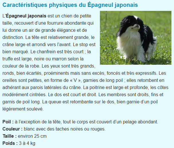 epagneul-titre.png