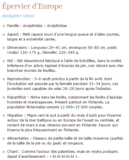 epervier-texte1.png