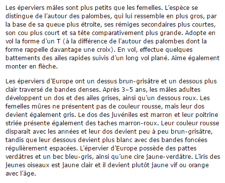epervier-texte2.png
